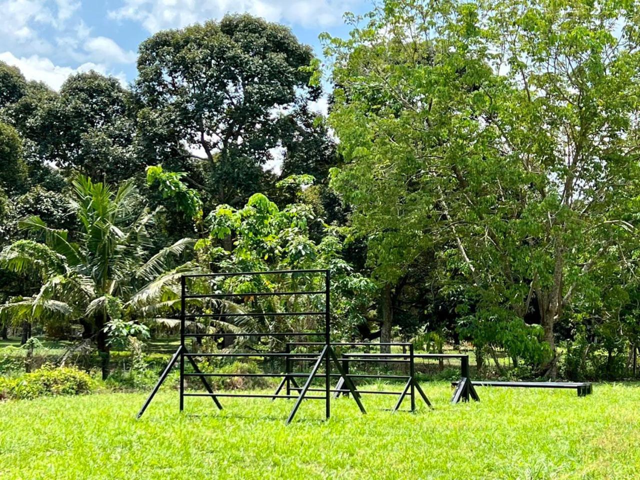 PLAY at Lot 31 Eco Orchard Melaka view 2