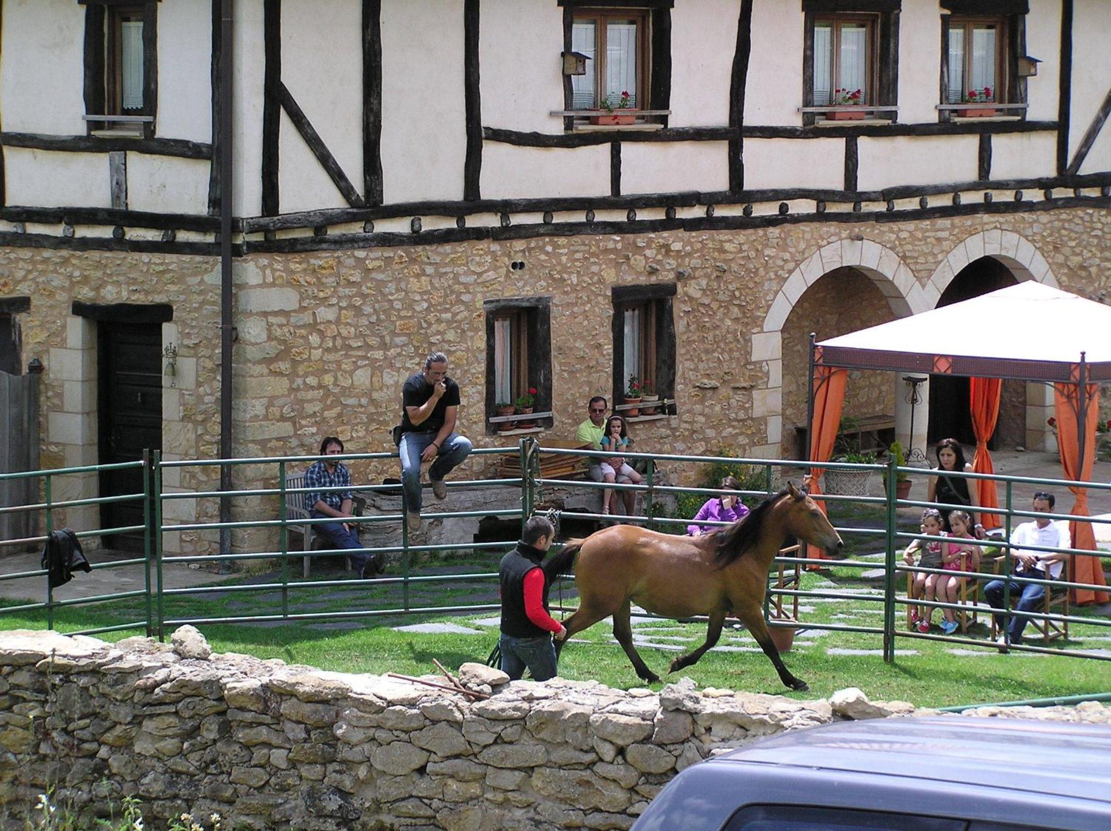 Photo 18