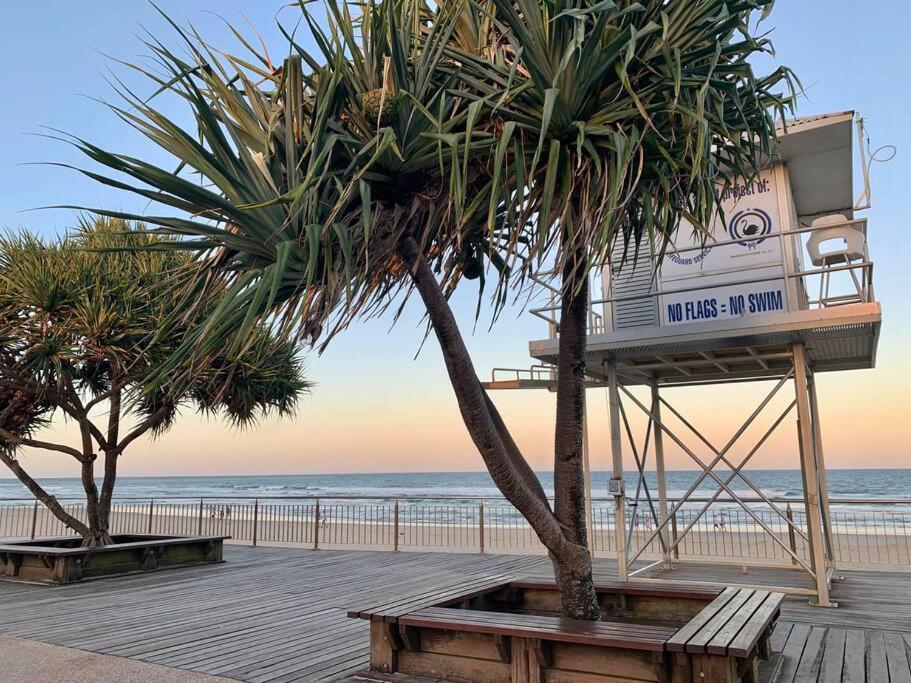 Alby’s - Cotton Tree