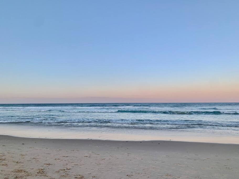 Alby’s - Cotton Tree