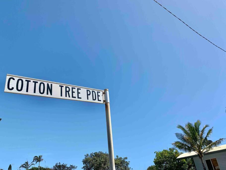 Alby’s - Cotton Tree