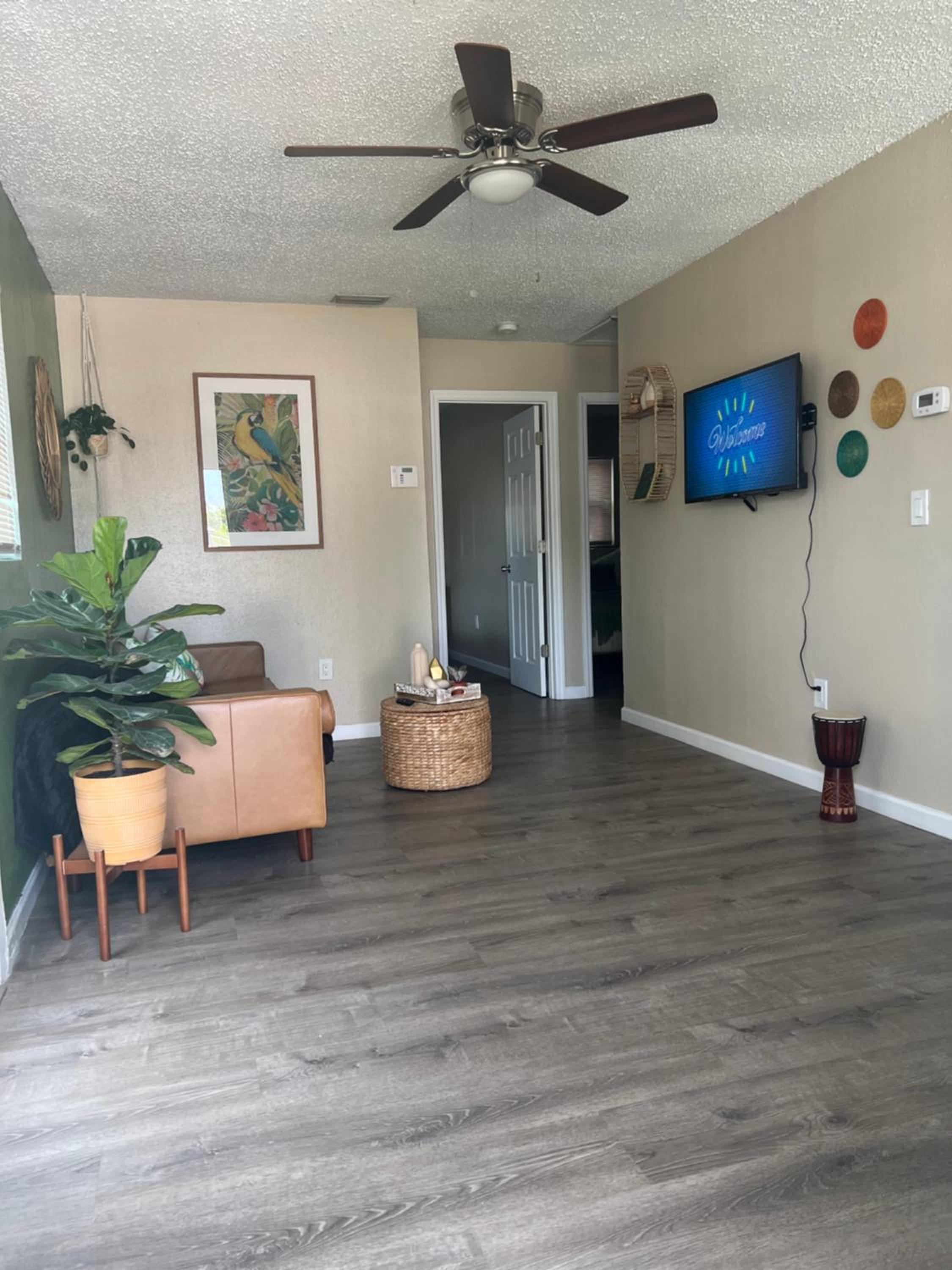 Tropical Casita in Tampa near airport and Raymond James stadium view 5