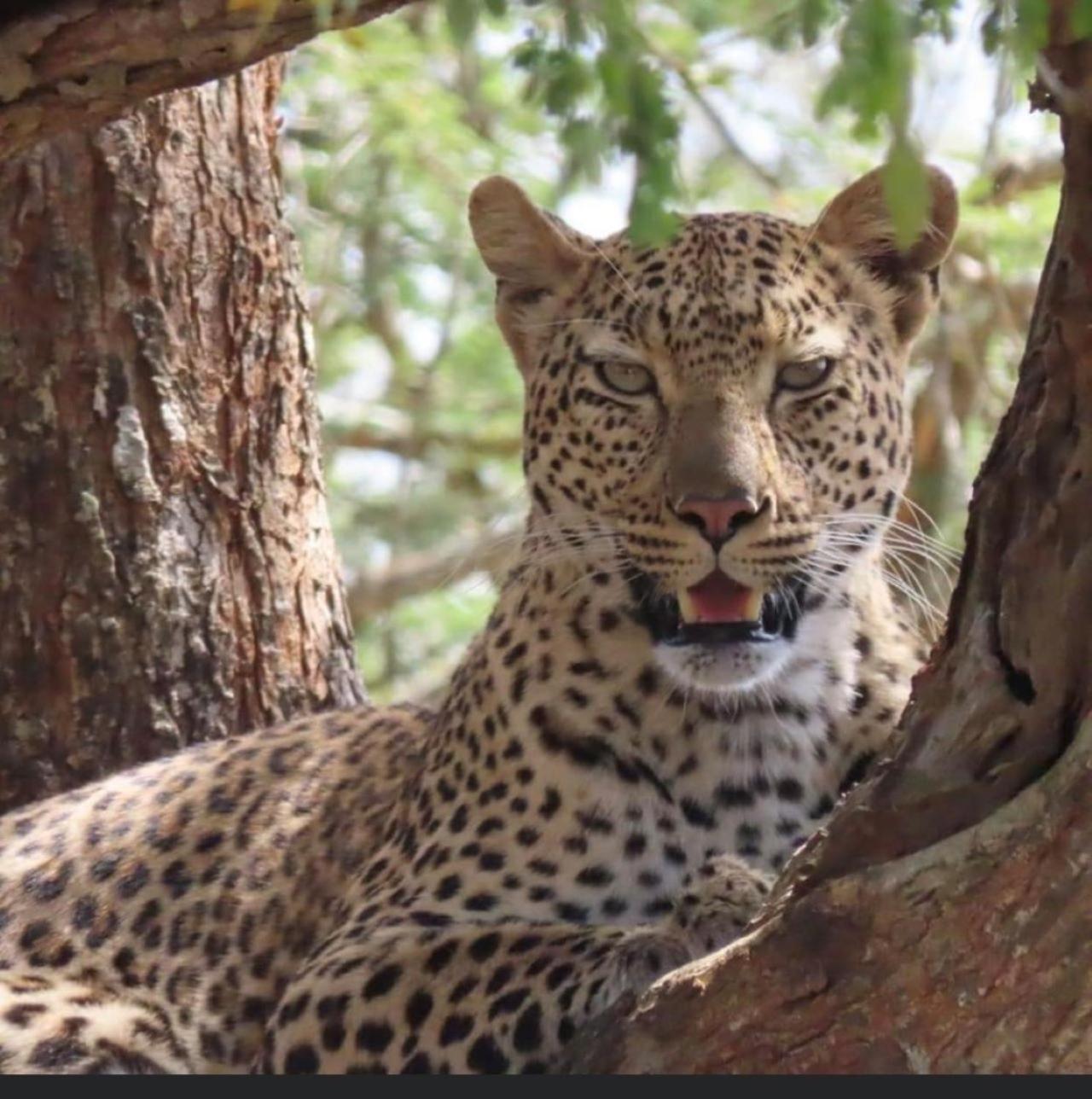Turaco Lodge - No Loadshedding