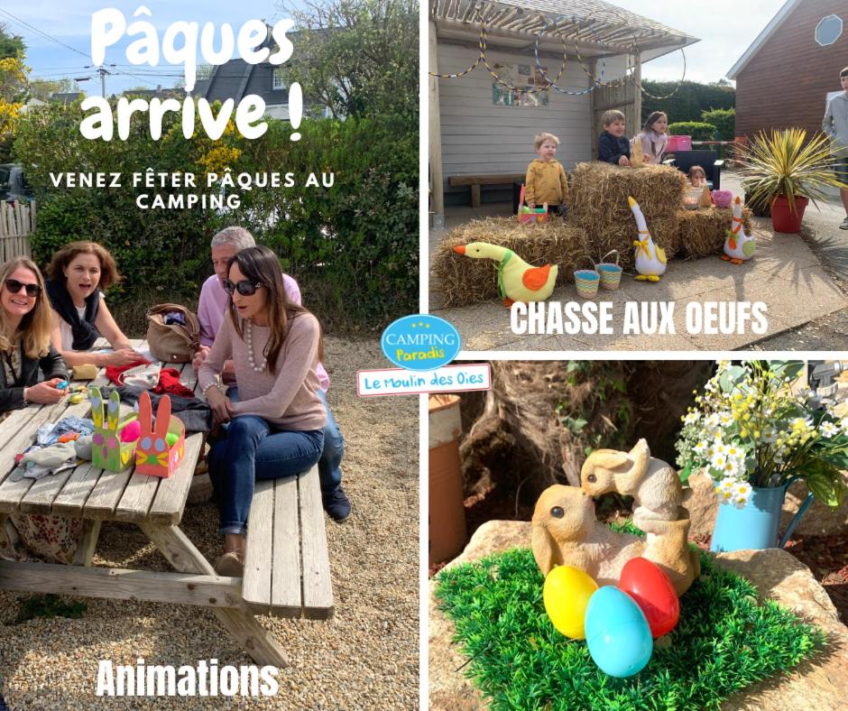 Camping Paradis le Moulin des Oies