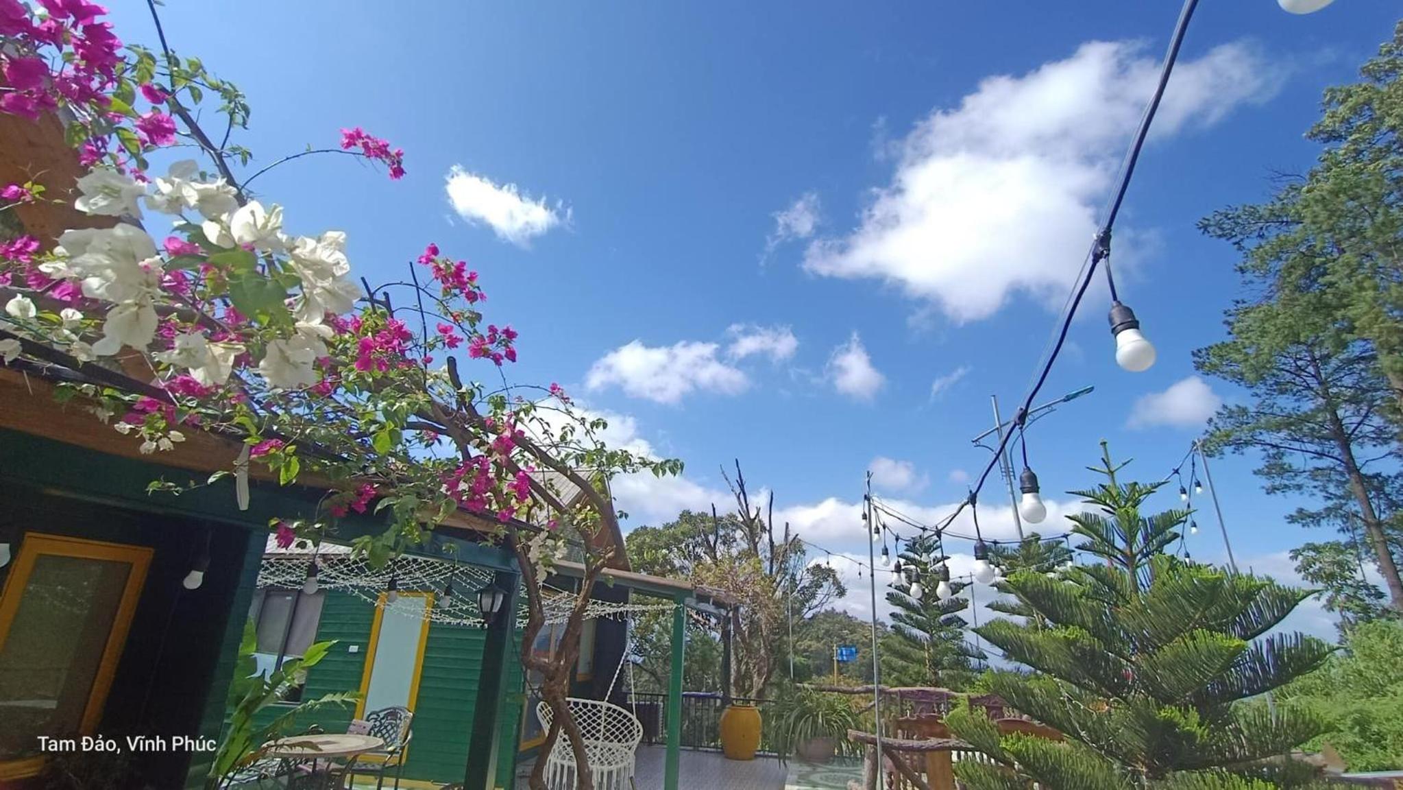Mimosa Villa