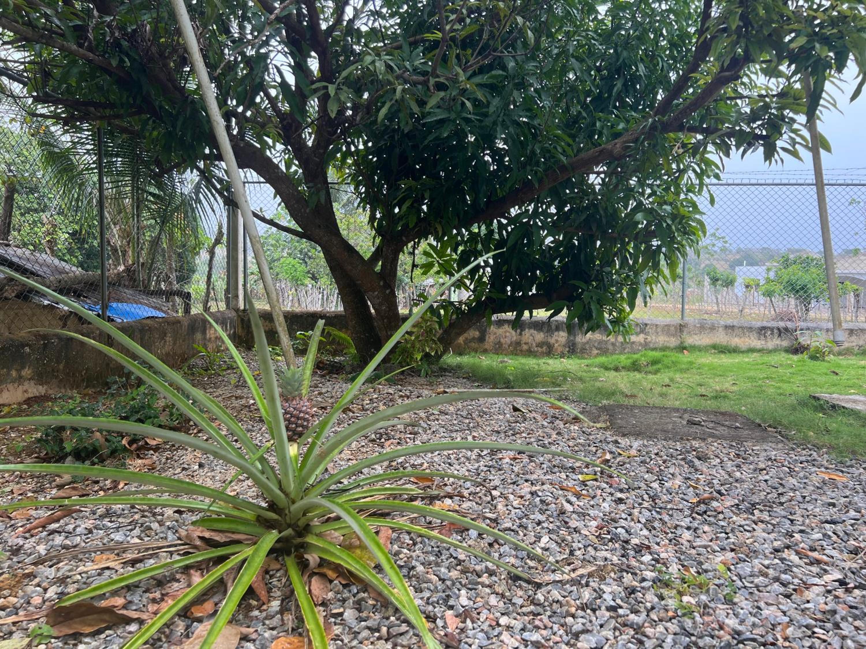 Villa Piña Alojamiento rural