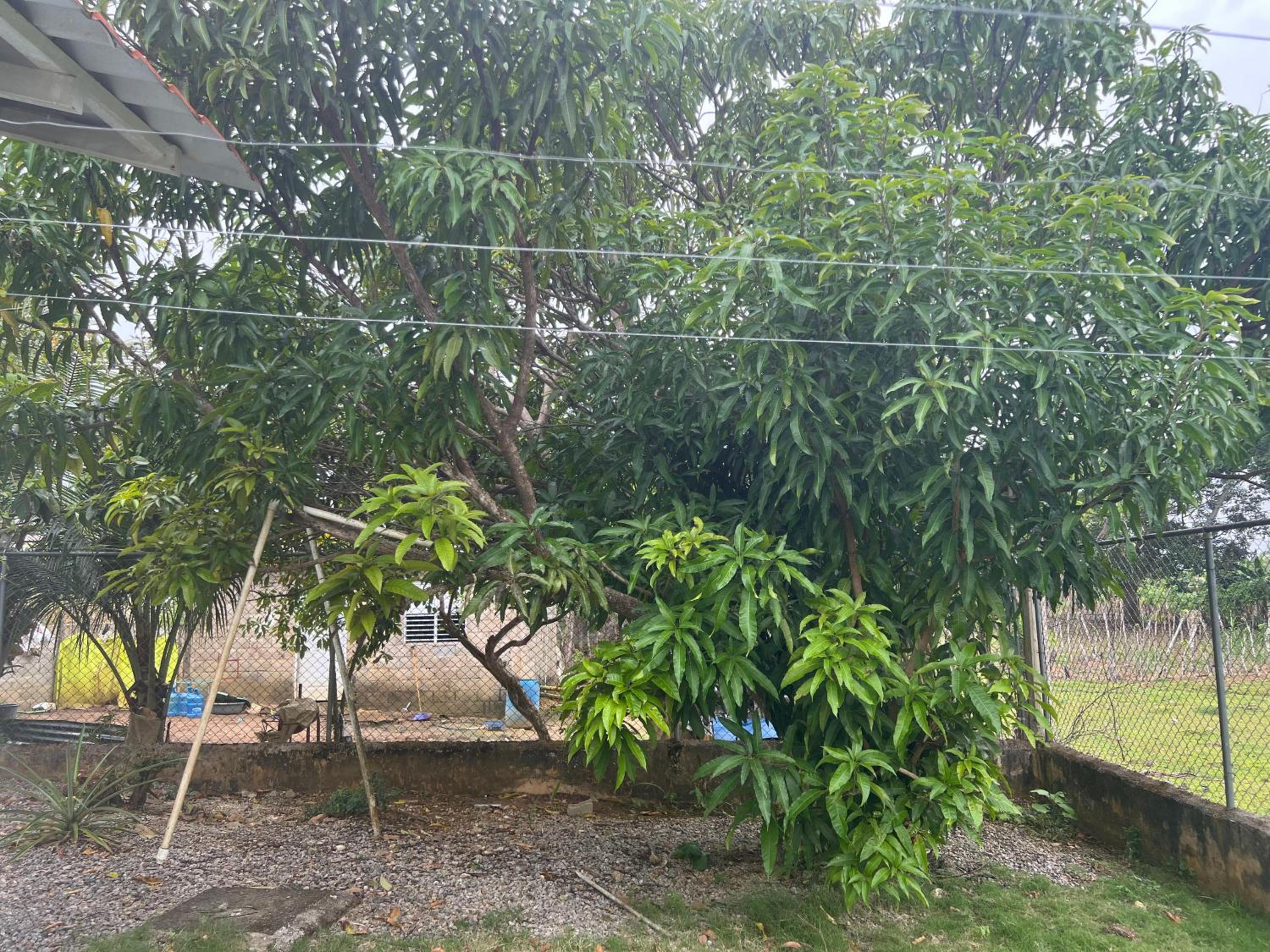 Villa Piña Alojamiento rural