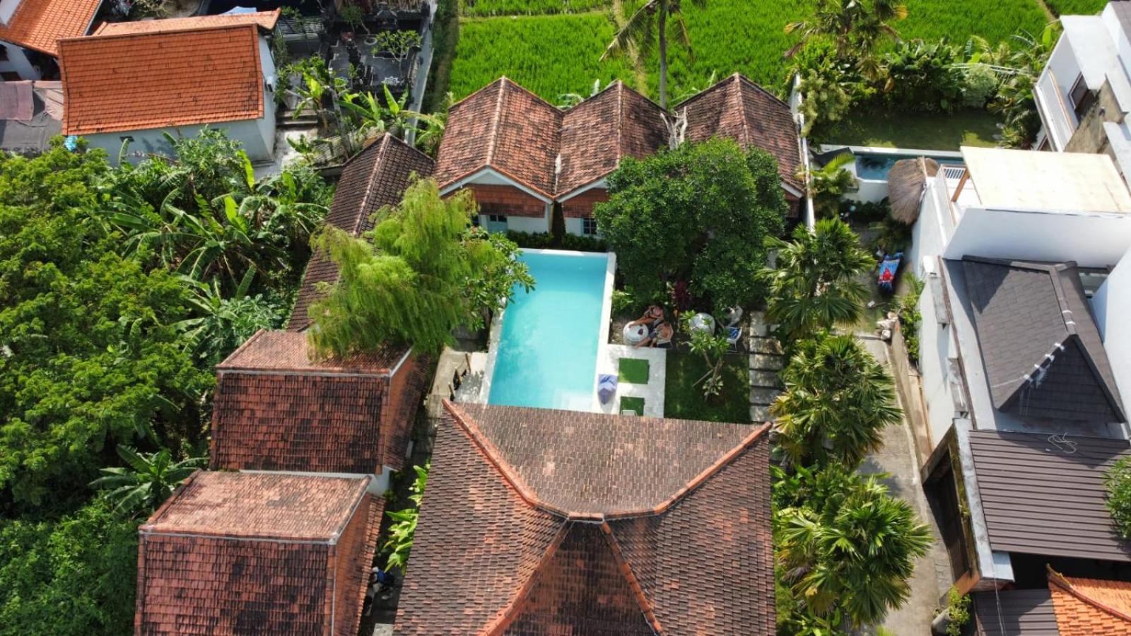 The Commotion Canggu