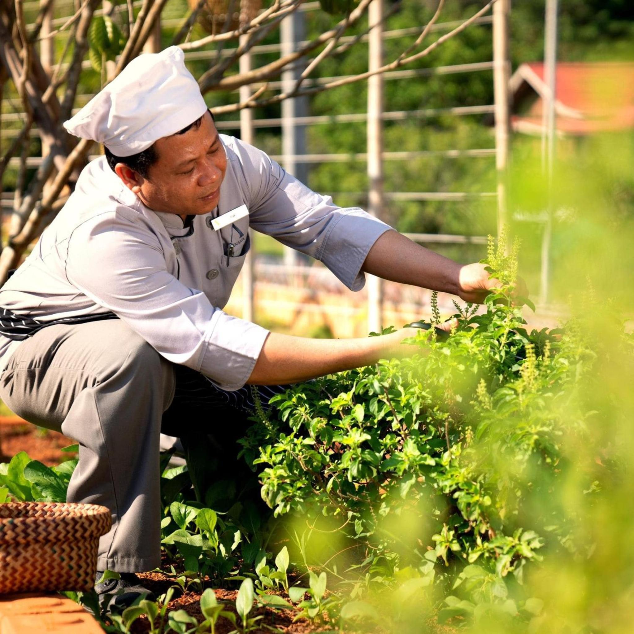 Anana Ecological Resort Krabi 7