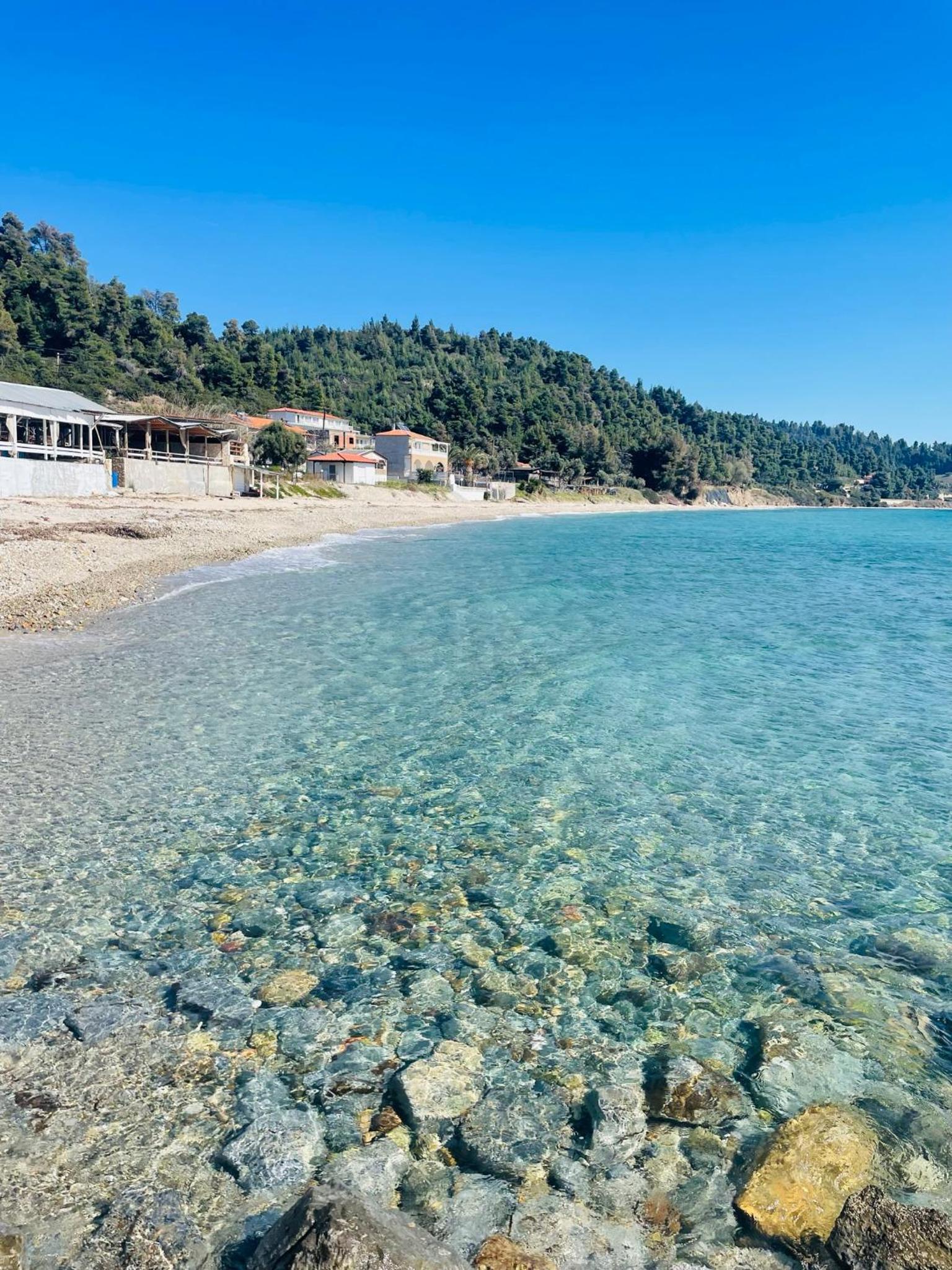DARIVA apartment Nea Skioni