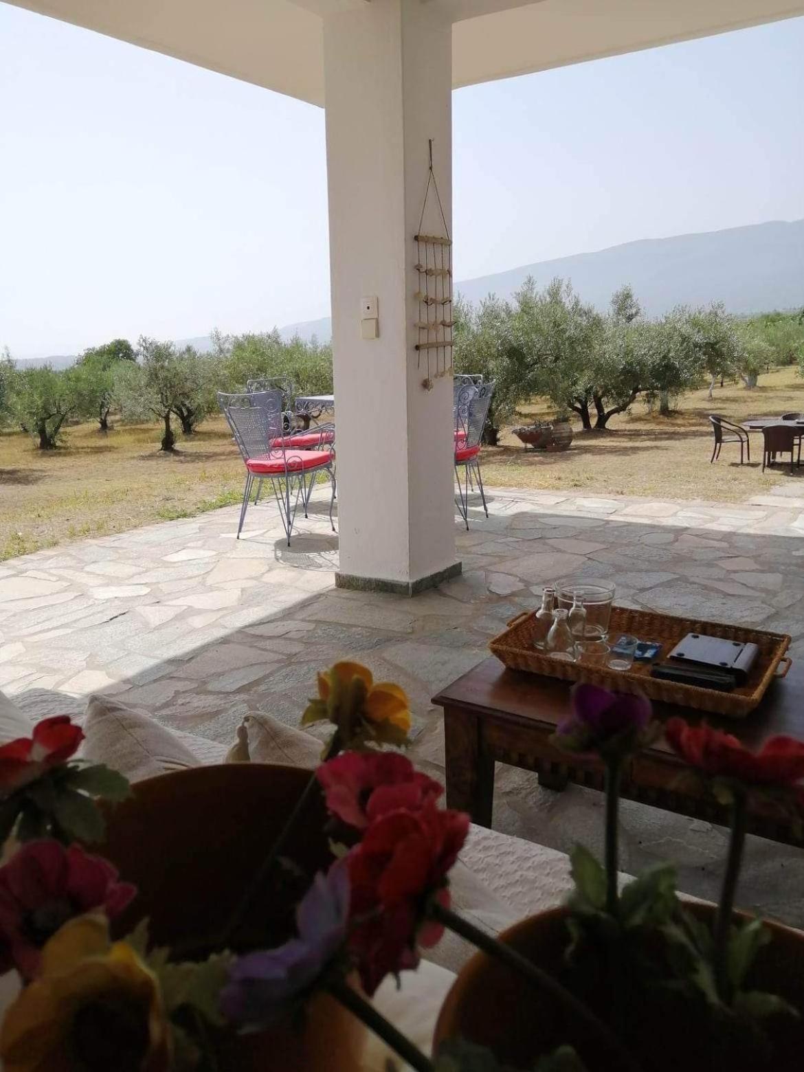 Zeusplace Olympus Olive Country House 1 ground floor