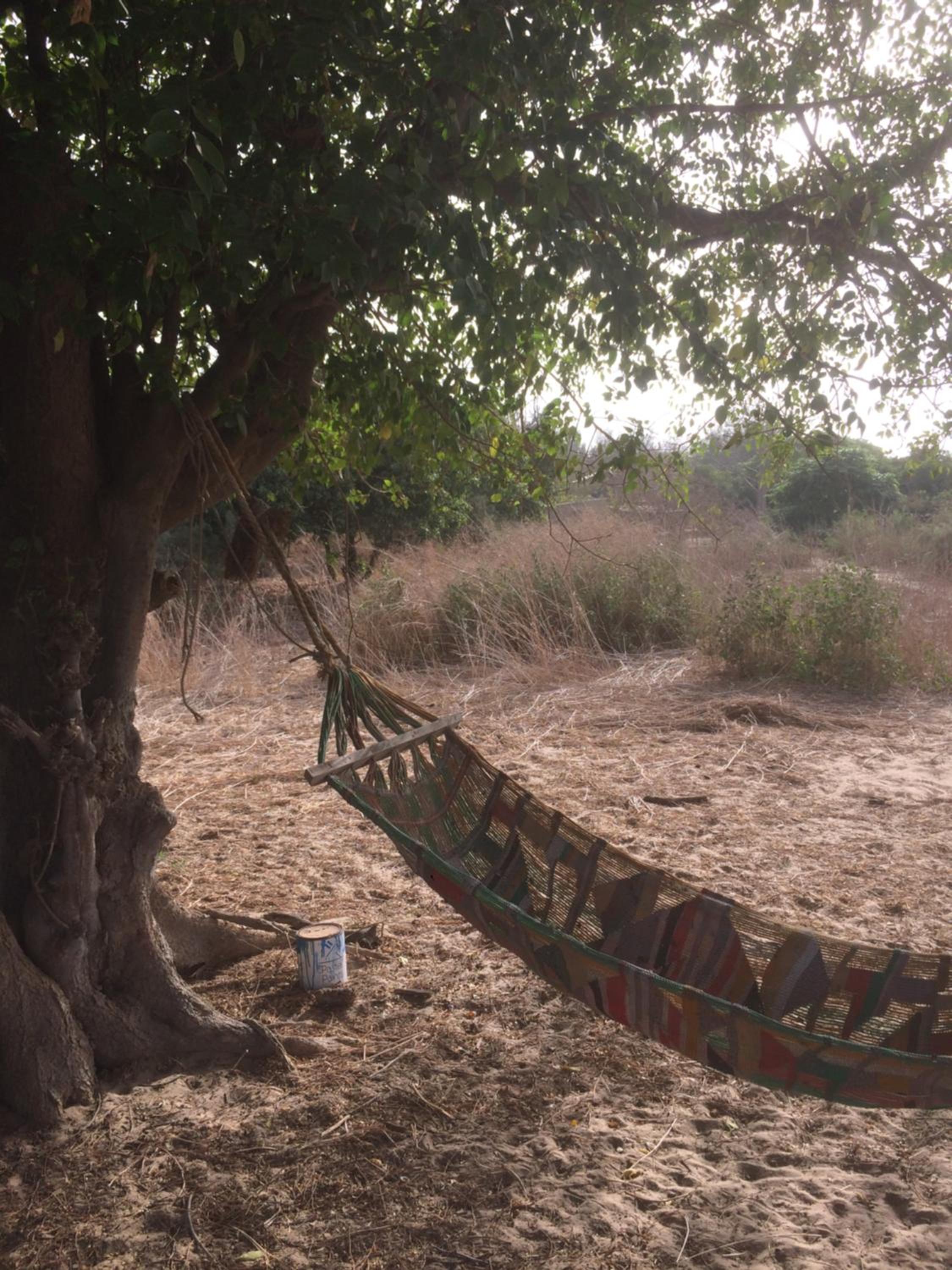 Jinack Lodge