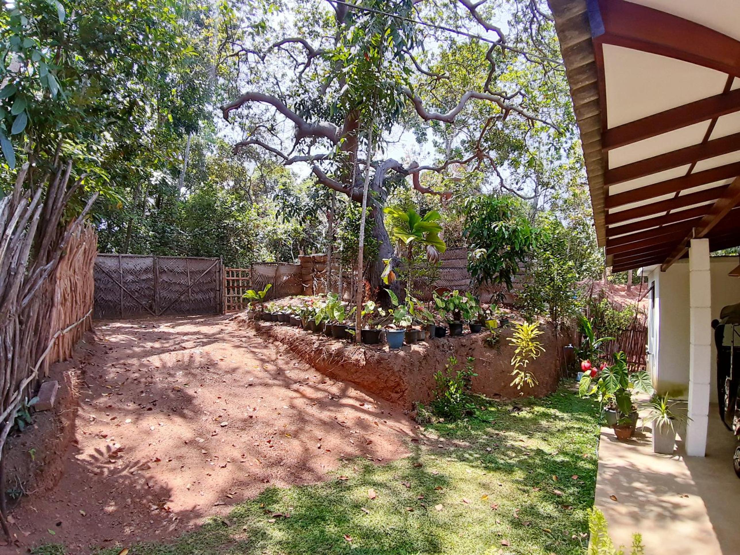 Cashew Villa Hiriketiya view 3