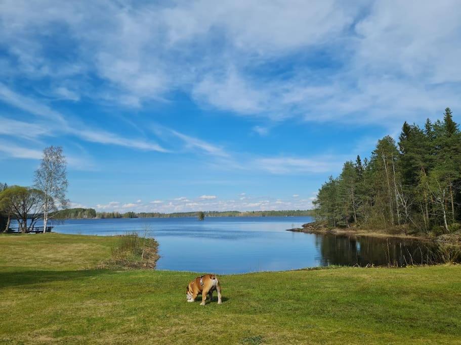 Nauti luonnon rauhasta Jataniemen Uittotuvassa.