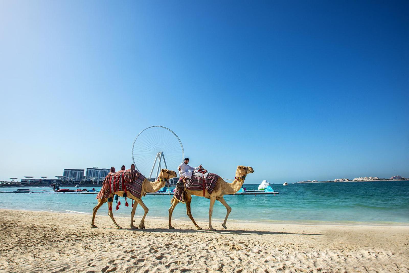 Wonderful apartment near The Beach Sadaf JBR
