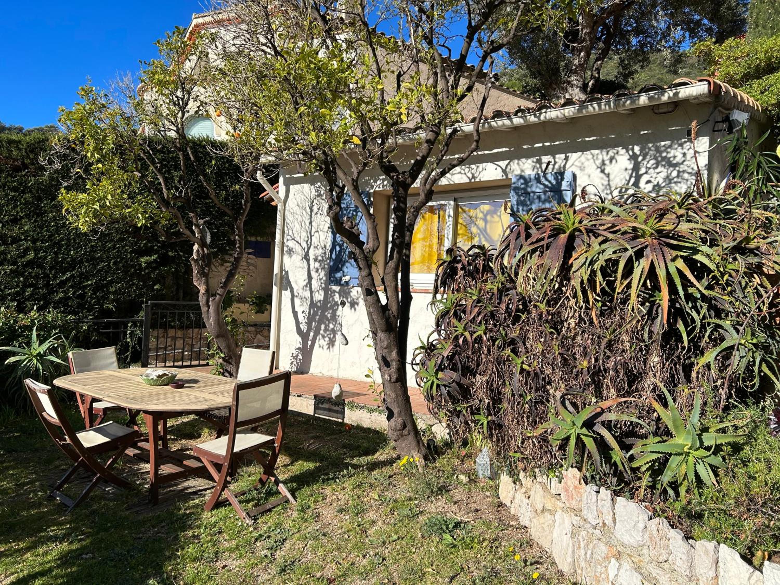 Photo 23