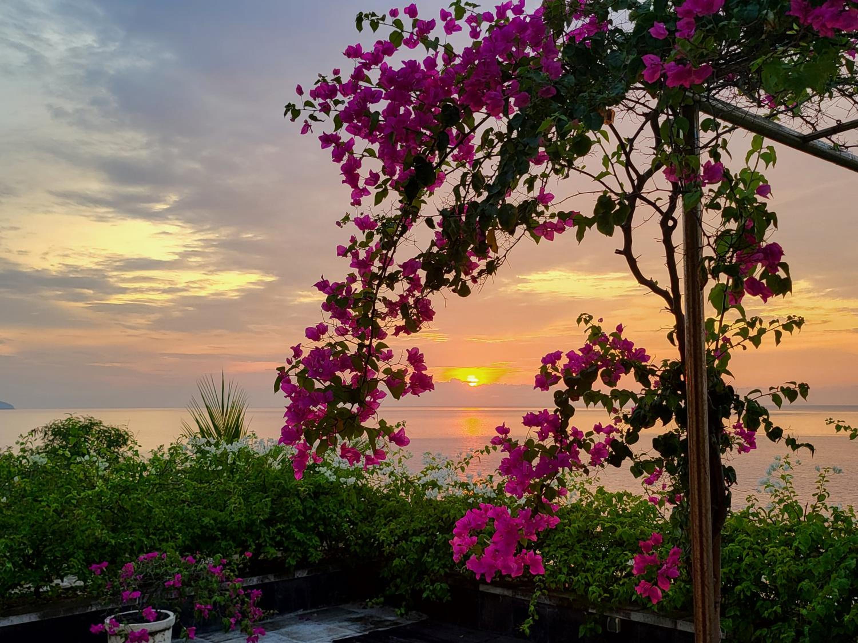 Raaga Samudra Villa view 2