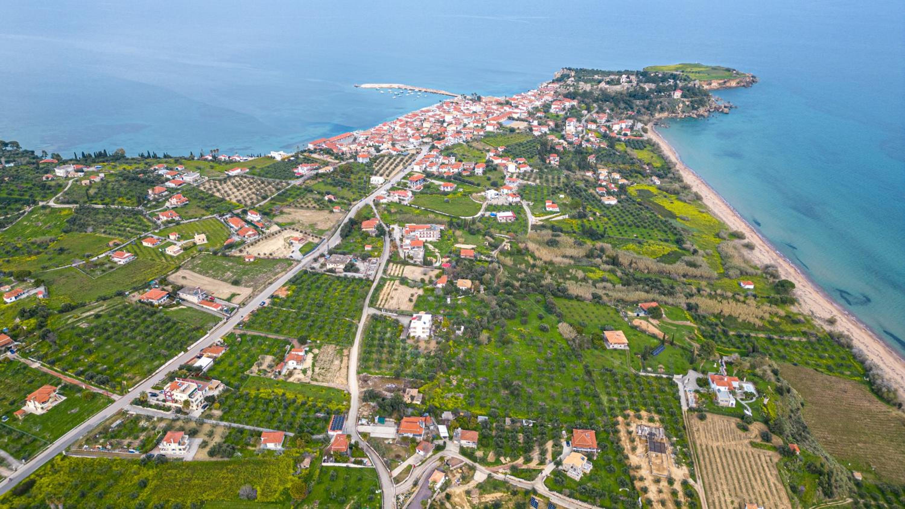 Villa Olivia