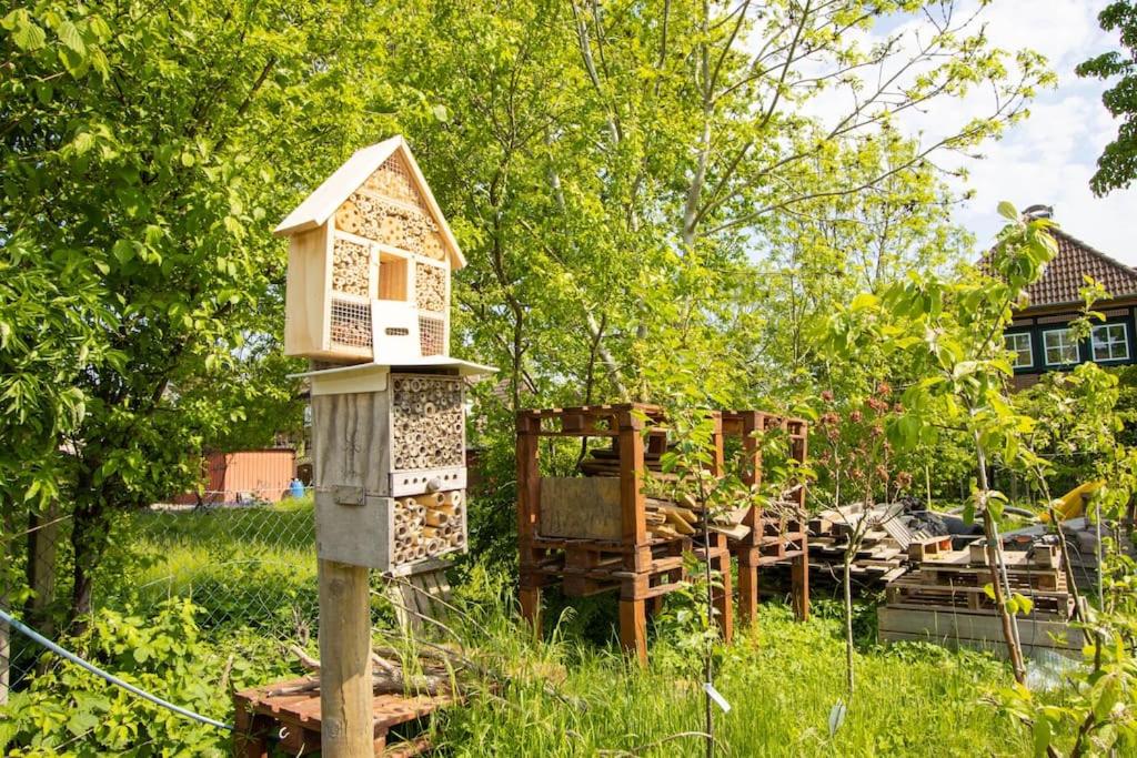 Ferienwohnungen Fehmarn mit Parkplatz & Garten in Petersdorf