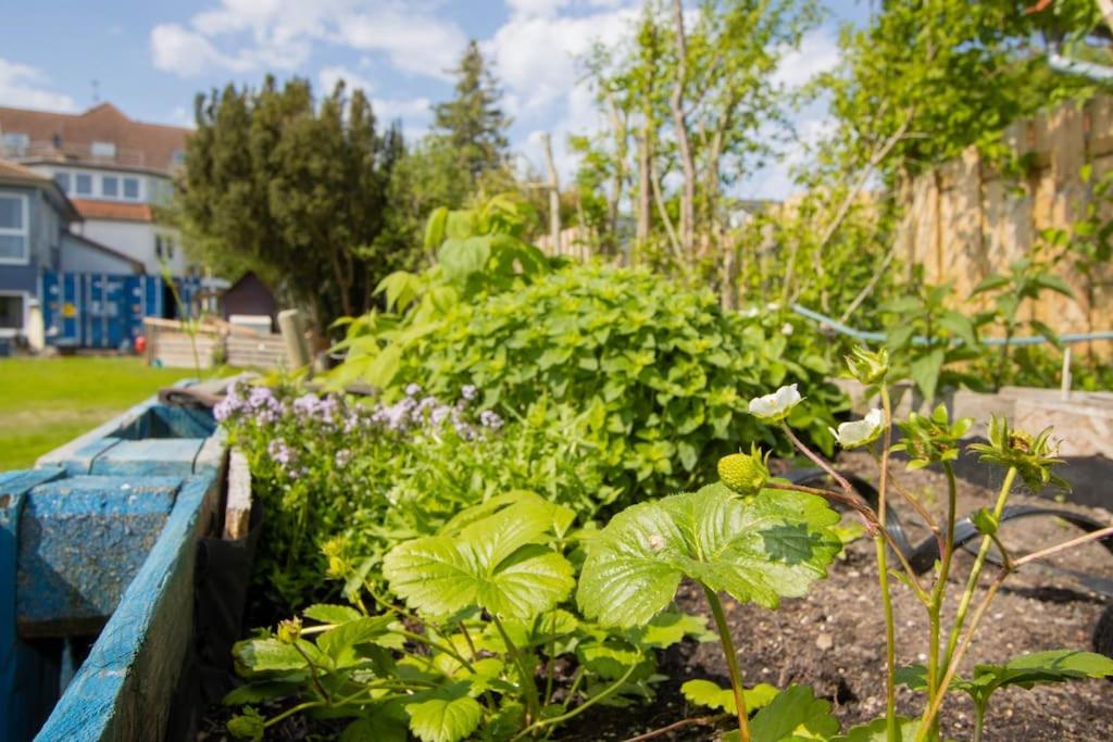 Ferienwohnungen Fehmarn mit Parkplatz & Garten in Petersdorf