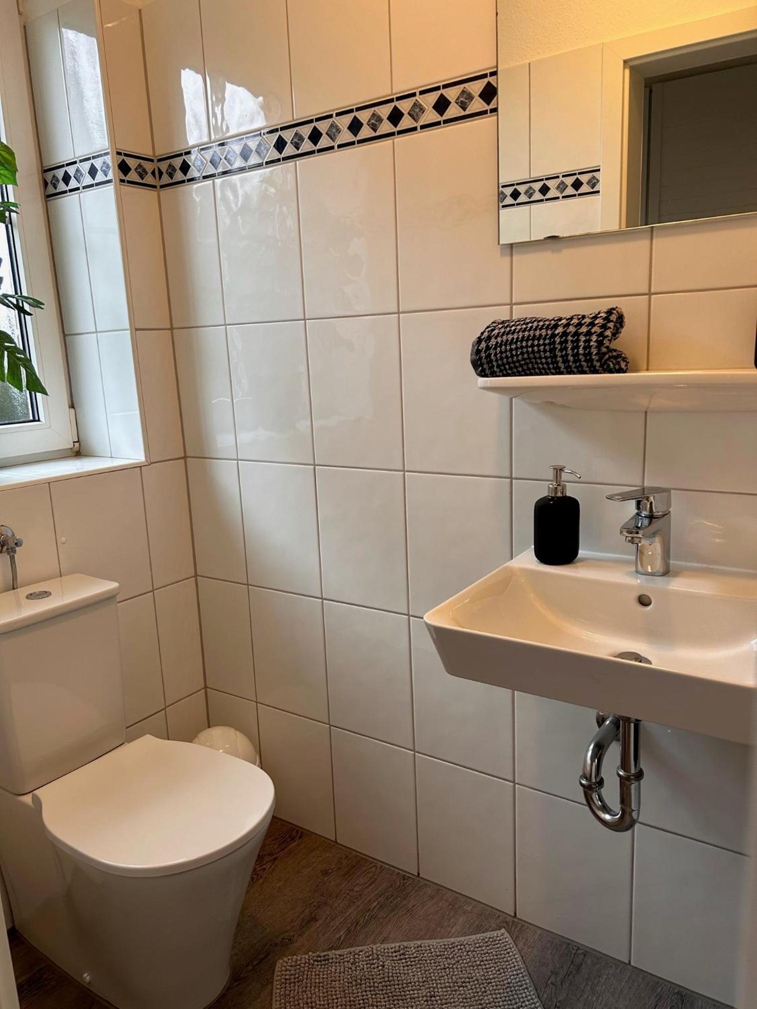 50126 Haus Deichrose