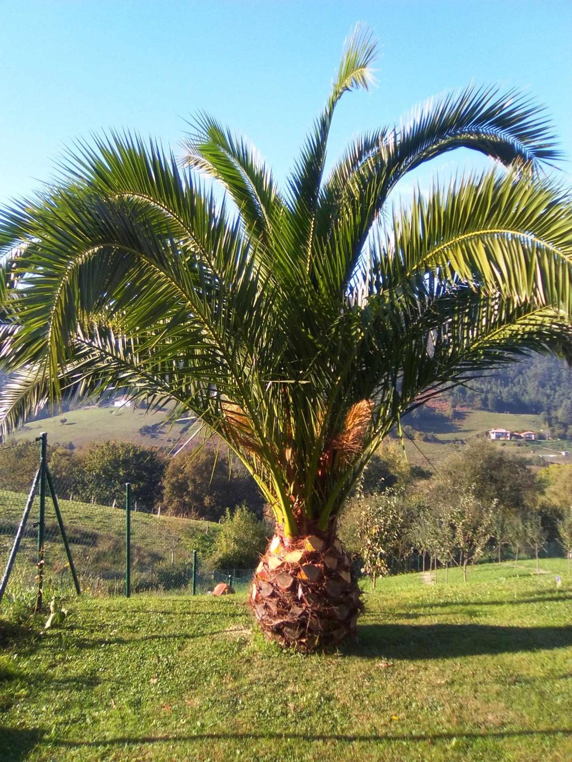 Ribadesella Casa cerca Playa de Vega – La Palmera