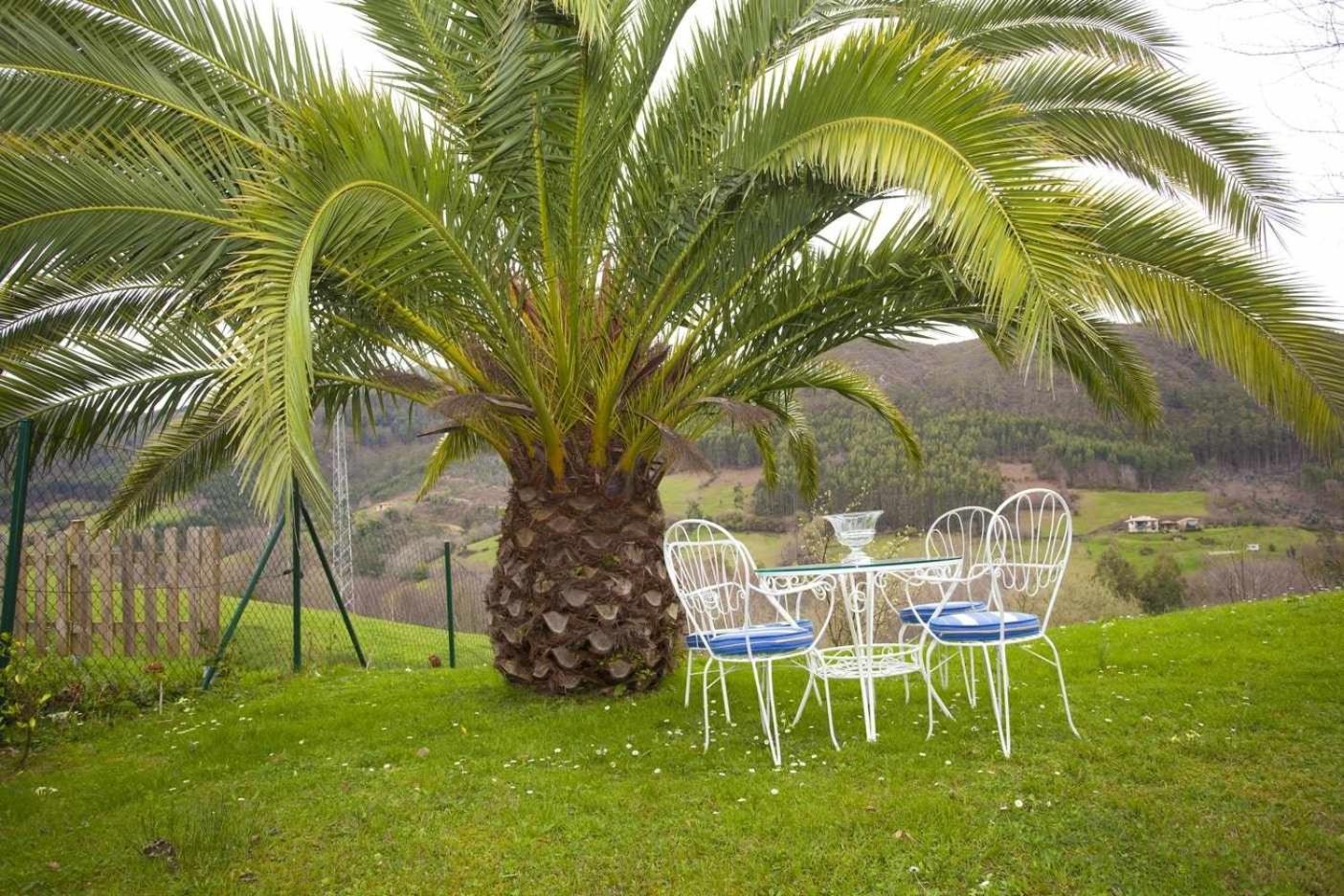 Ribadesella Casa cerca Playa de Vega – La Palmera