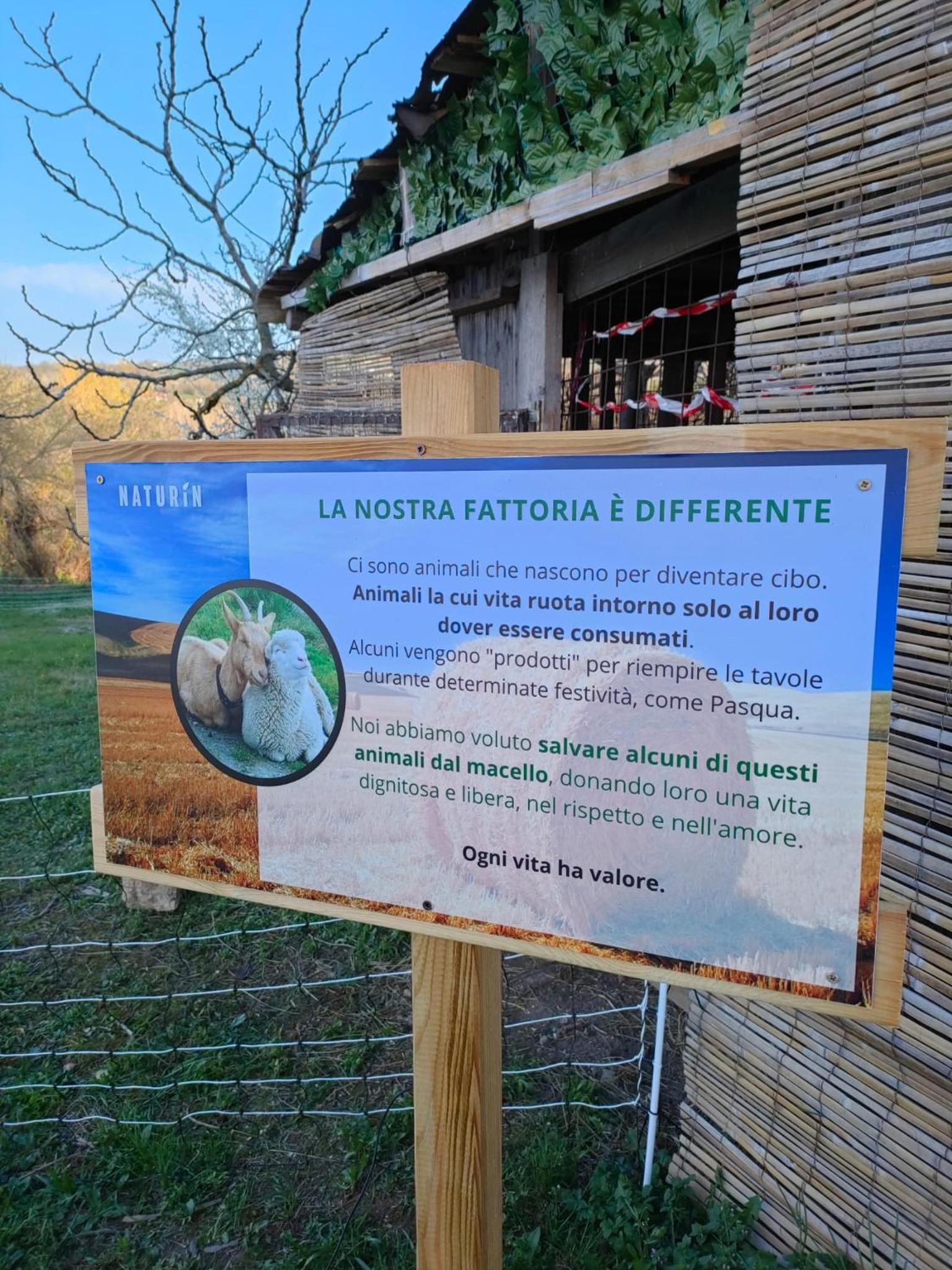 B&B Naturin - Vegan Eco Farm