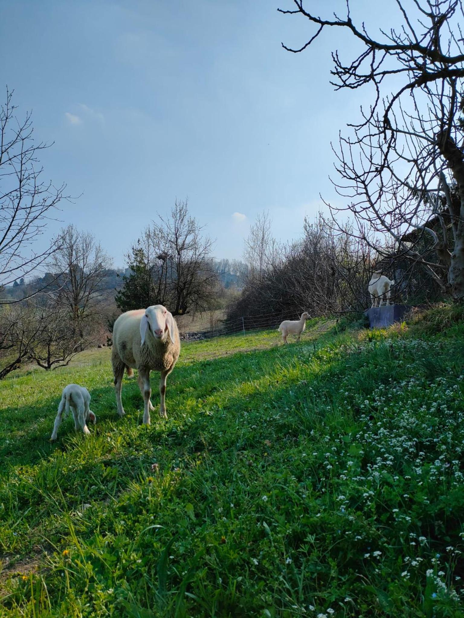 B&B Naturin - Vegan Eco Farm
