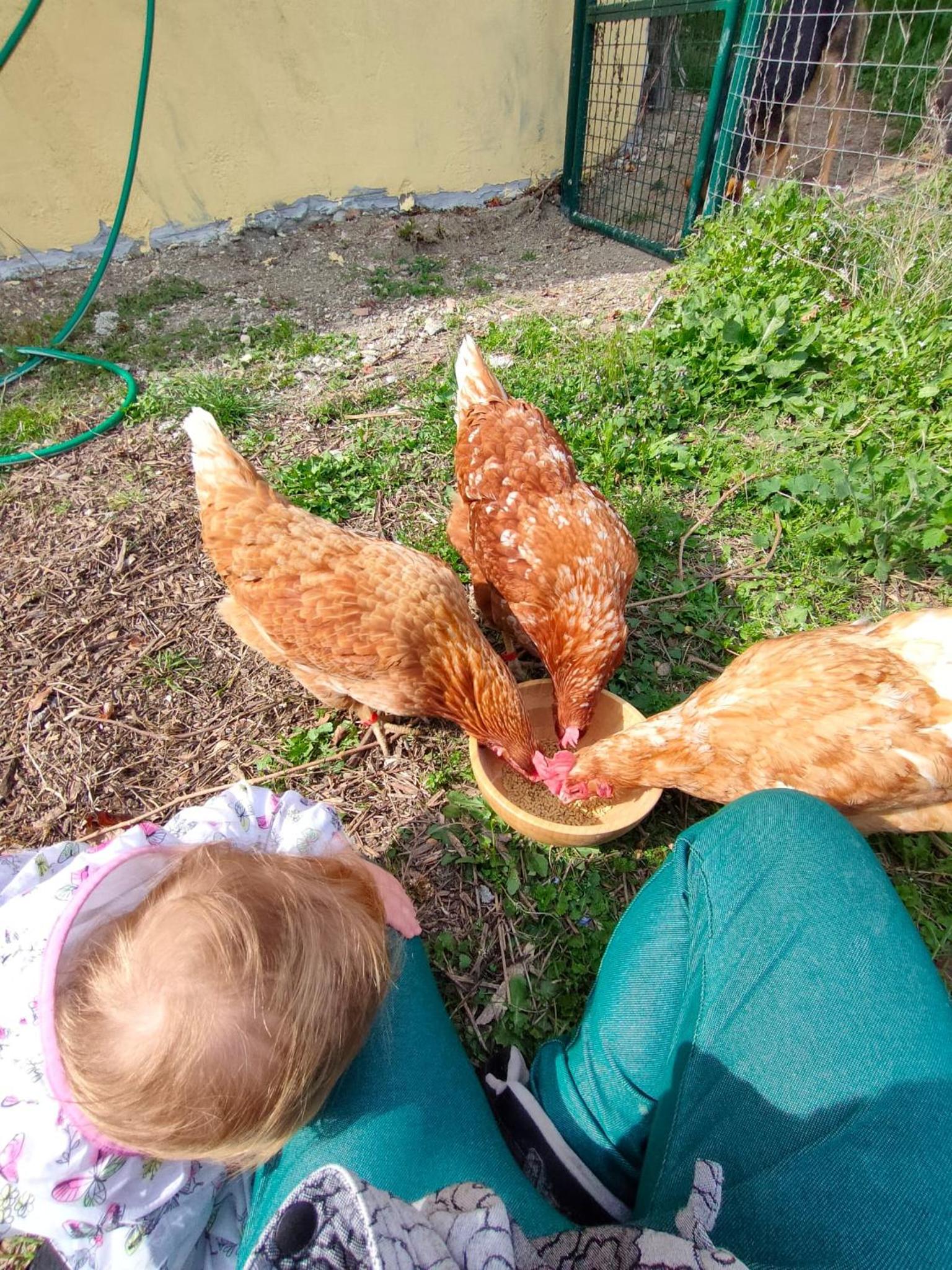 B&B Naturin - Vegan Eco Farm