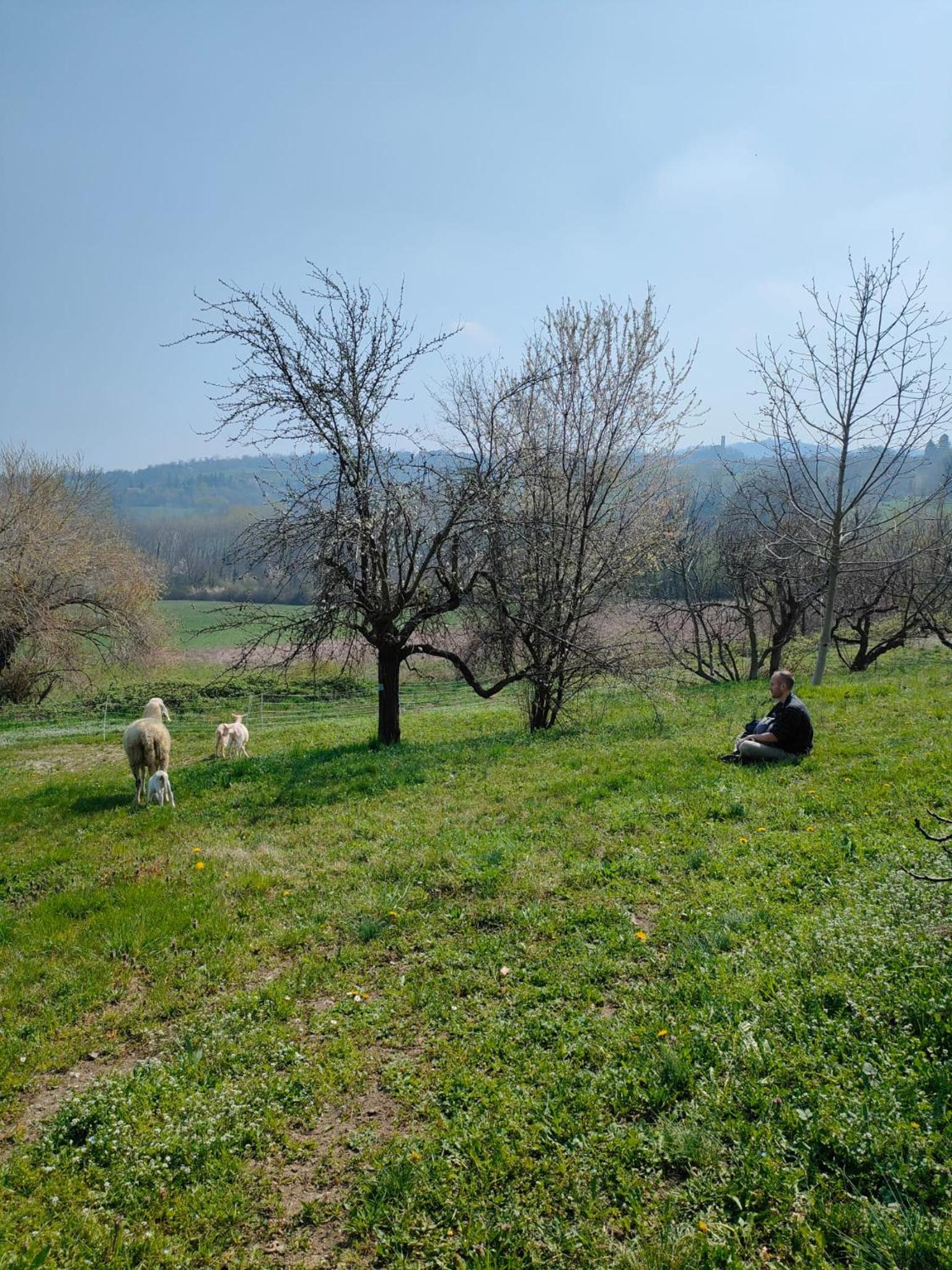 B&B Naturin - Vegan Eco Farm