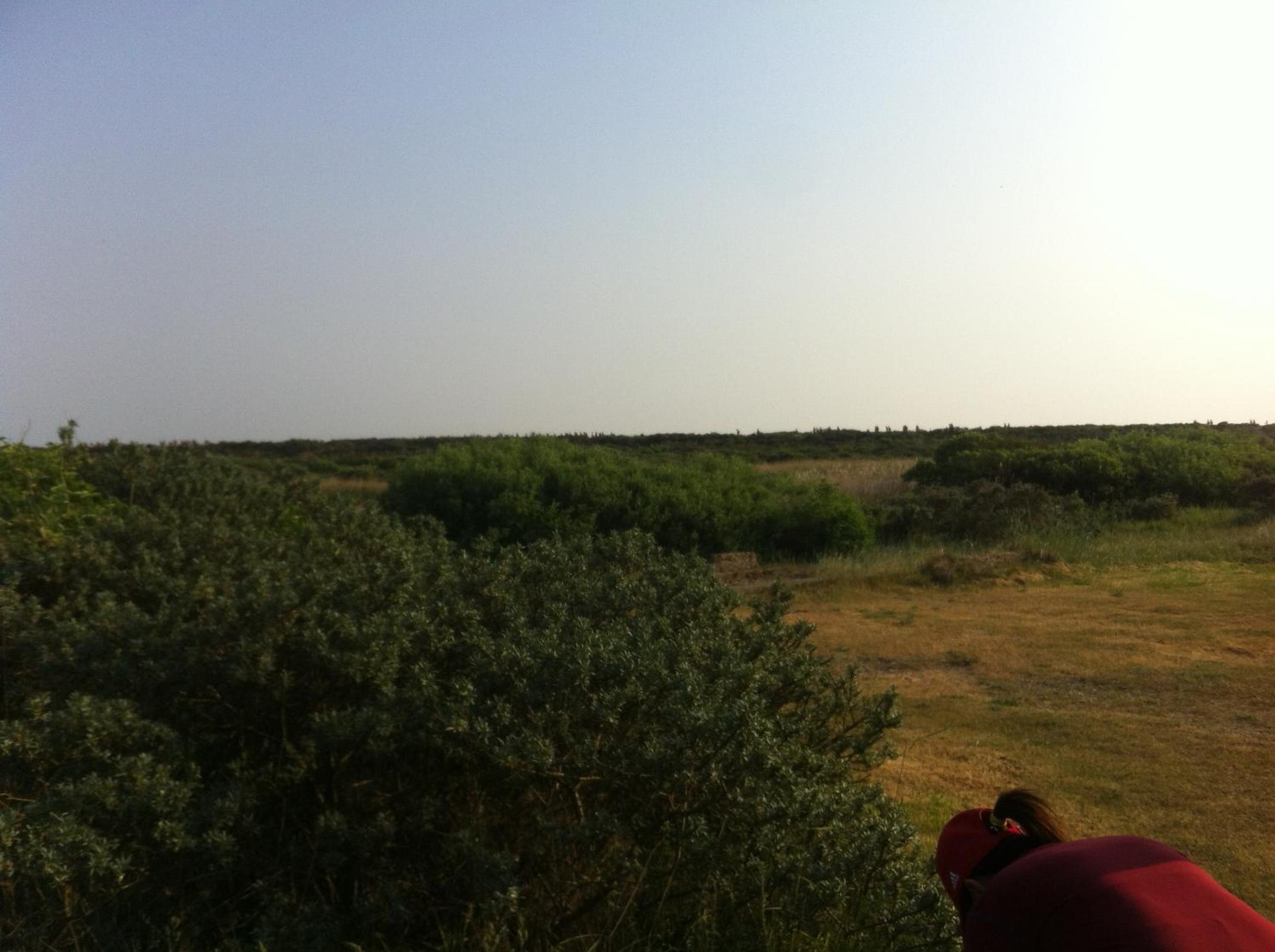 Photo 53