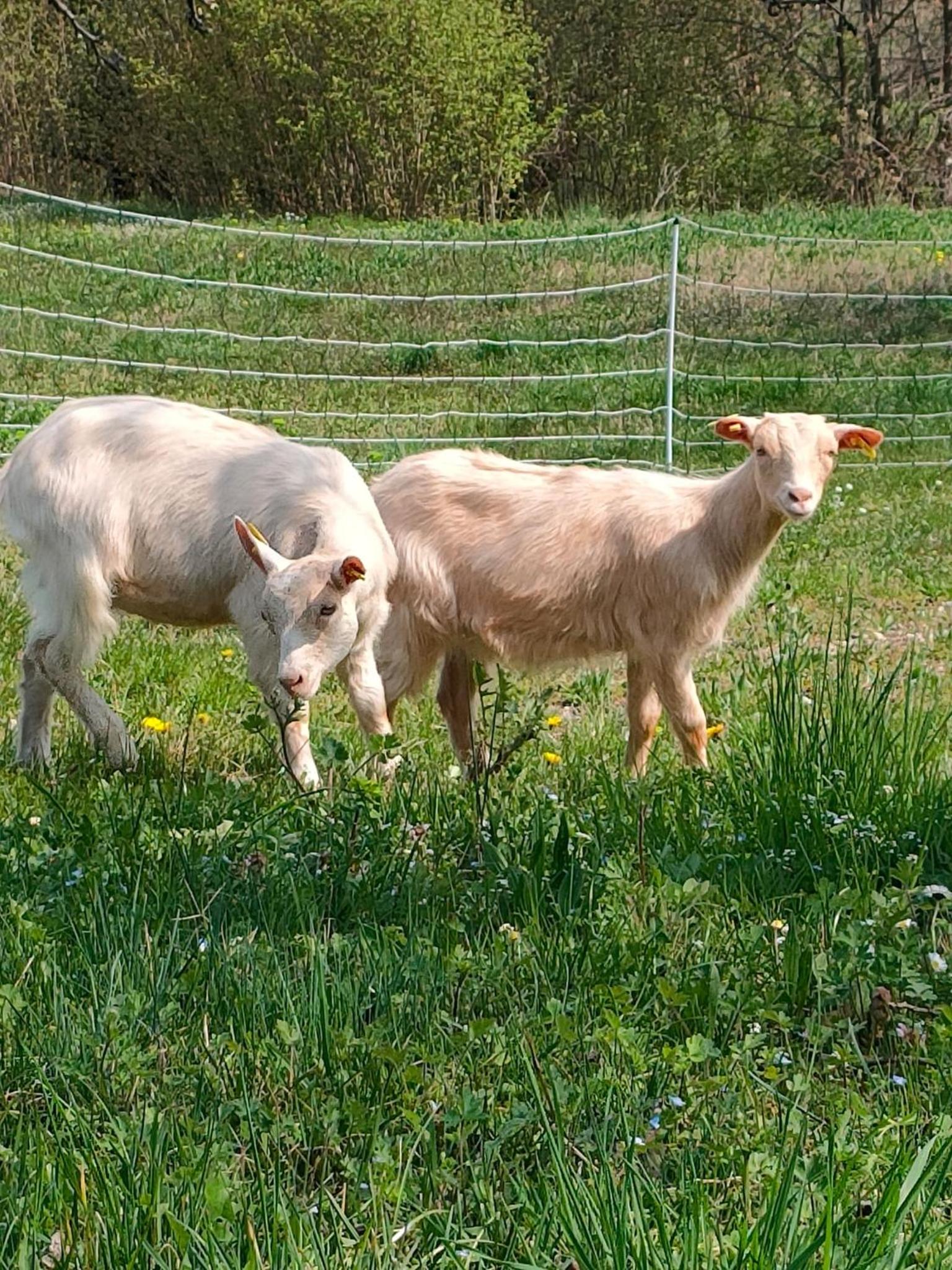 B&B Naturin - Vegan Eco Farm