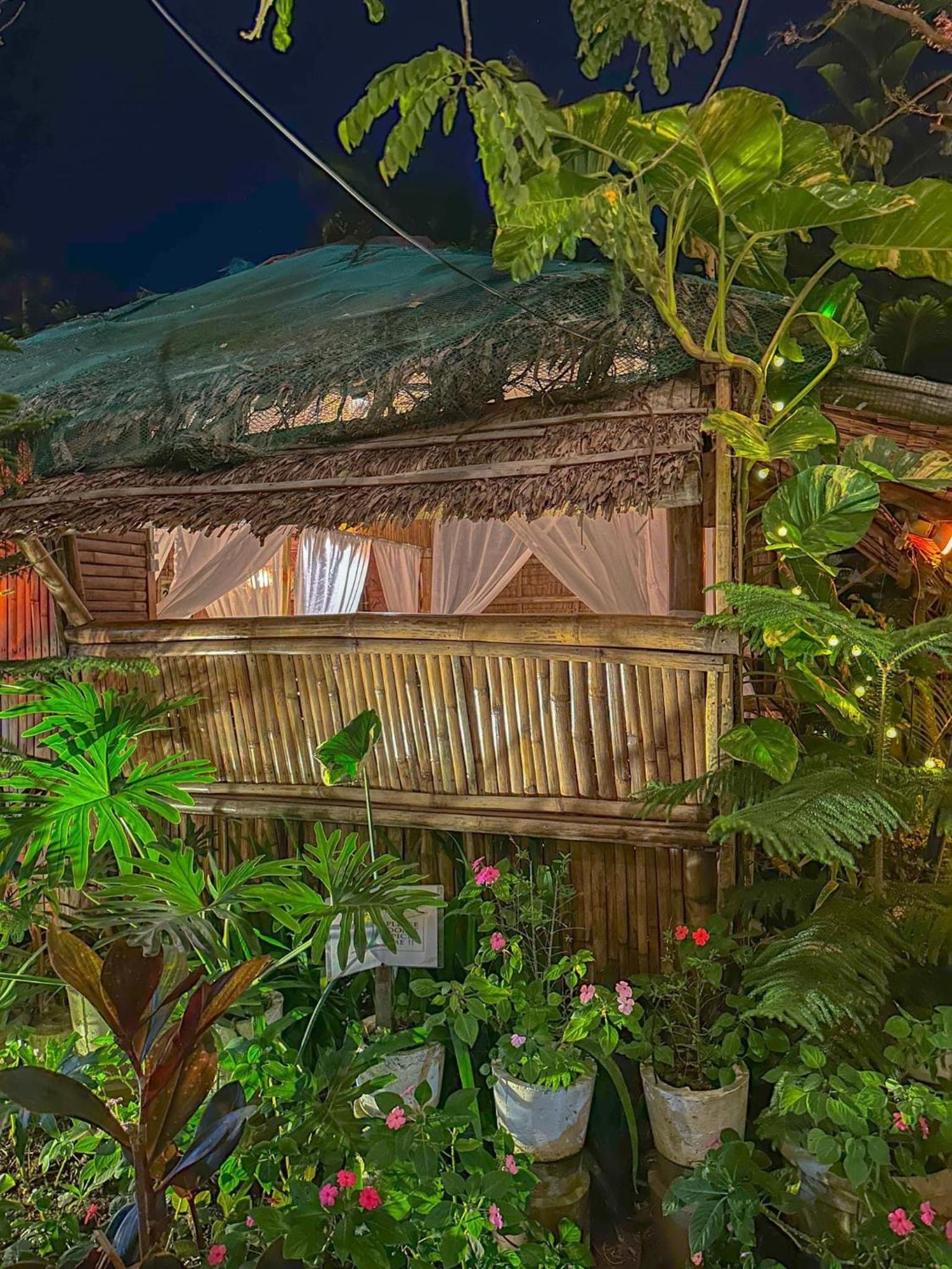 Remy's Nest, photo 17