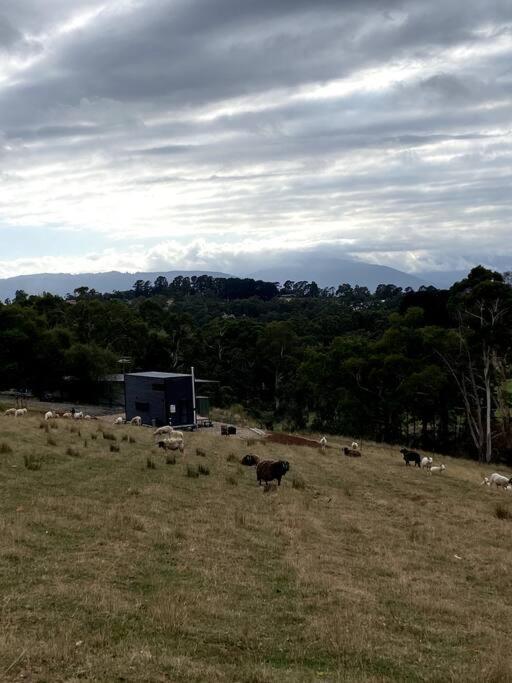 Yarra Valley Tiny Farm - Property Image 32