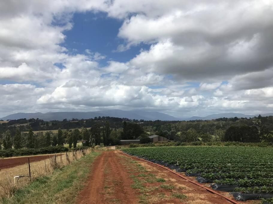 Yarra Valley Tiny Farm - Property Image 11