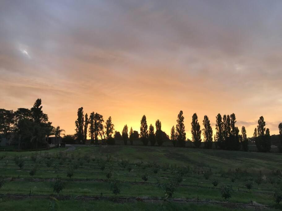 Yarra Valley Tiny Farm - Property Image 8