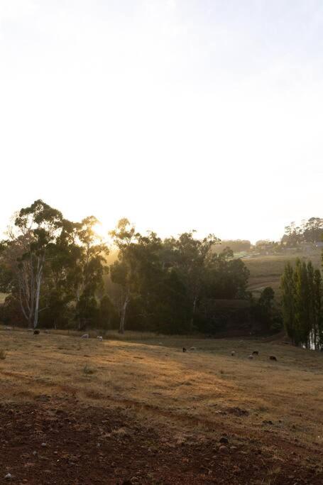 Yarra Valley Tiny Farm - Property Image 7