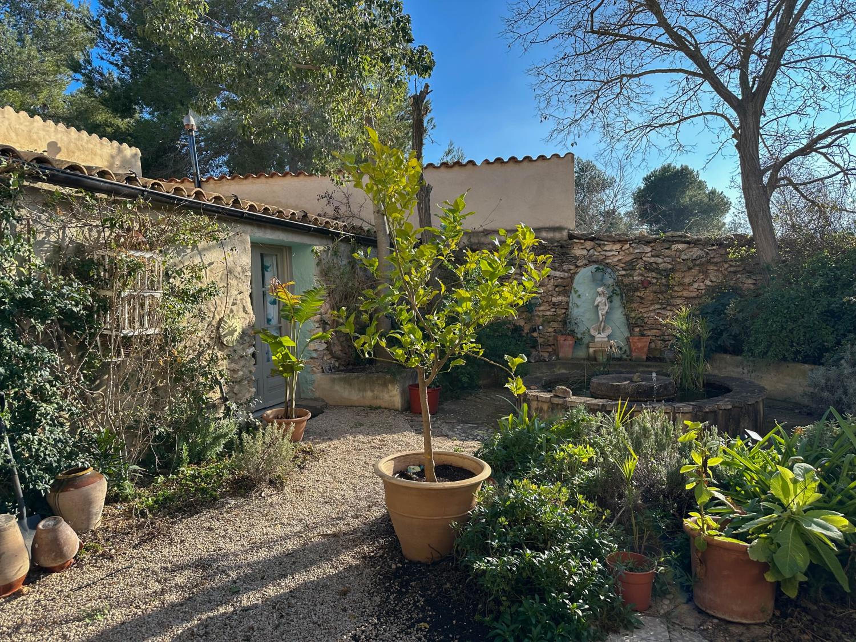 Wonderful comfortable finca in the Burga valley
