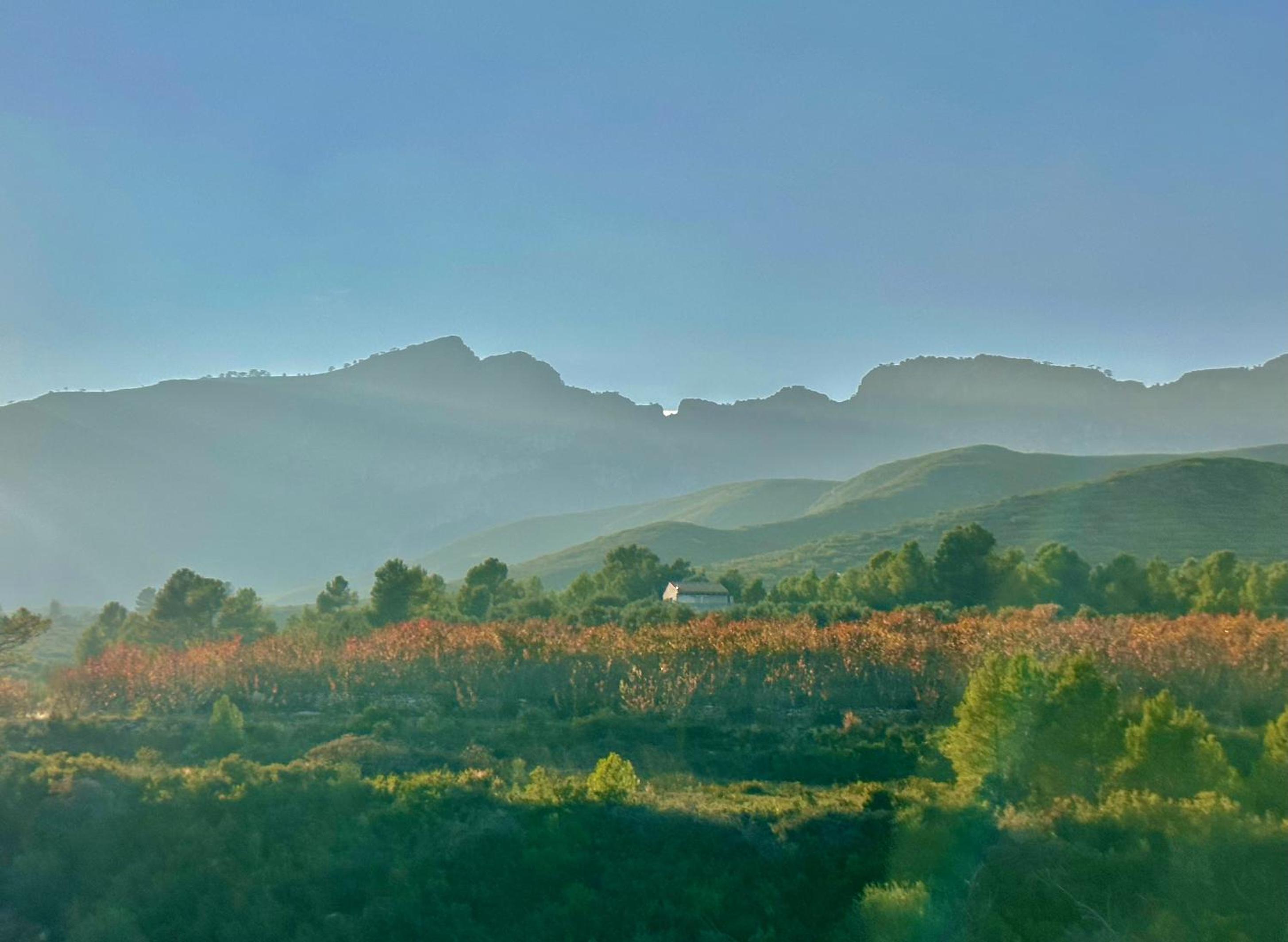 Wonderful comfortable finca in the Burga valley
