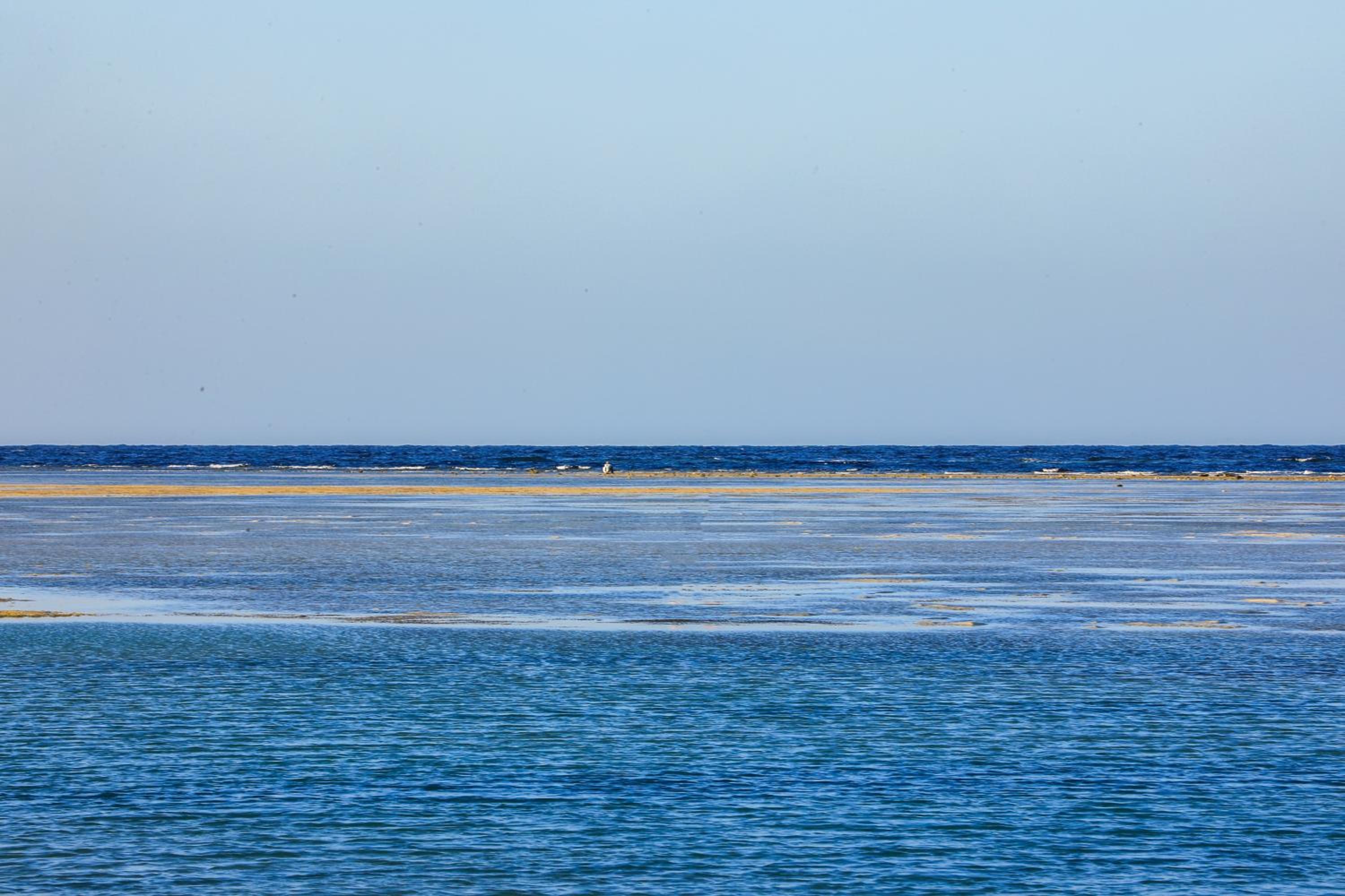 Blend Elphistone Resort Marsa Alam — photo 93