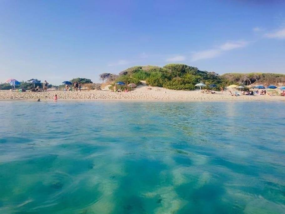 Case vacanze 2 pigne