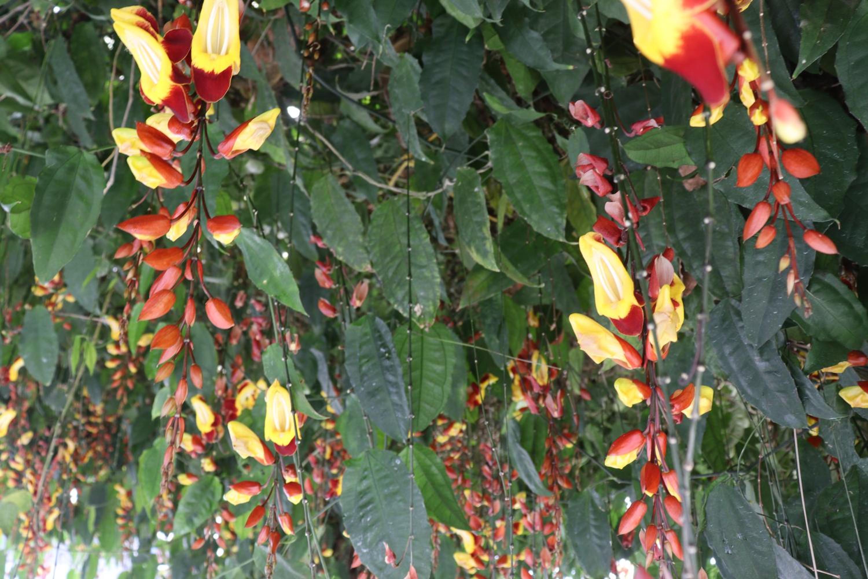 Photo 42