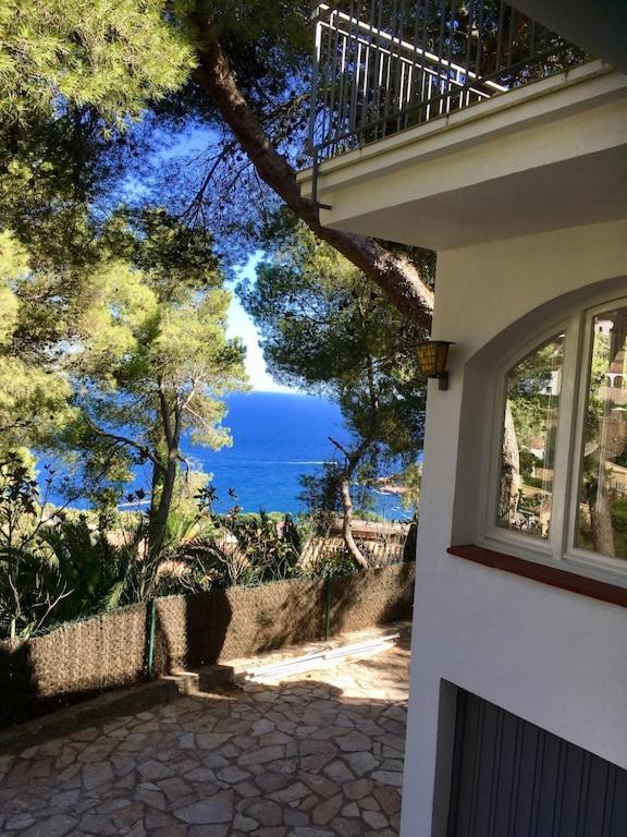 Mediterranean Dream