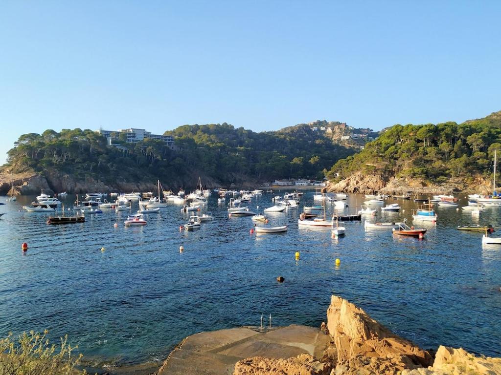 Mediterranean Dream