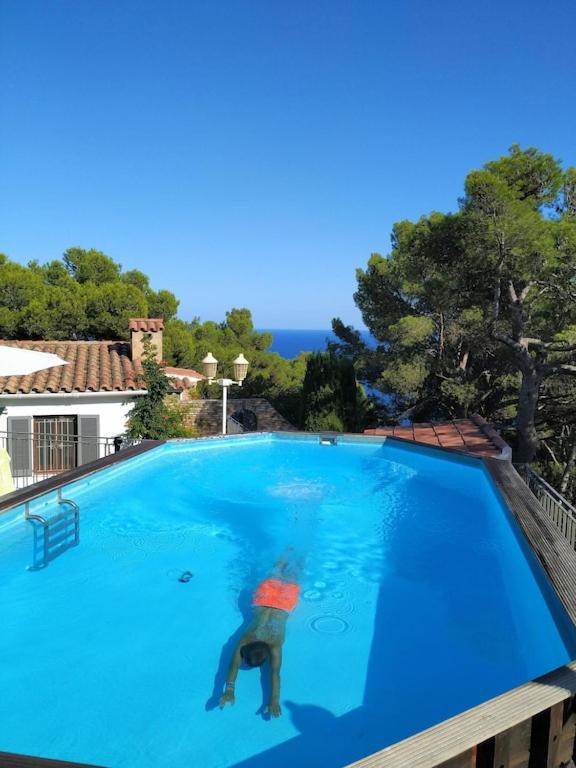 Mediterranean Dream