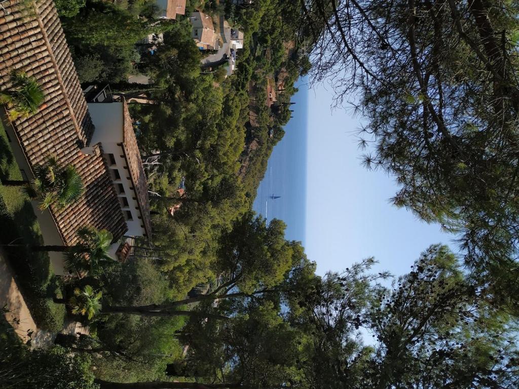 Mediterranean Dream