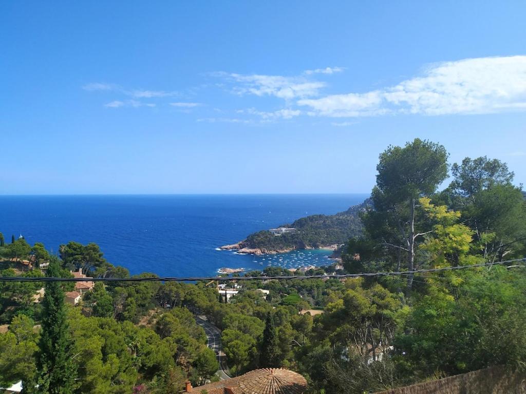 Mediterranean Dream