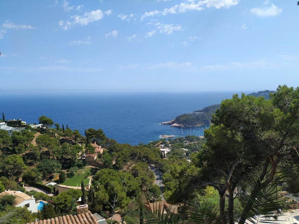 Mediterranean Dream