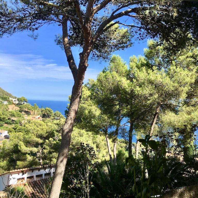 Mediterranean Dream